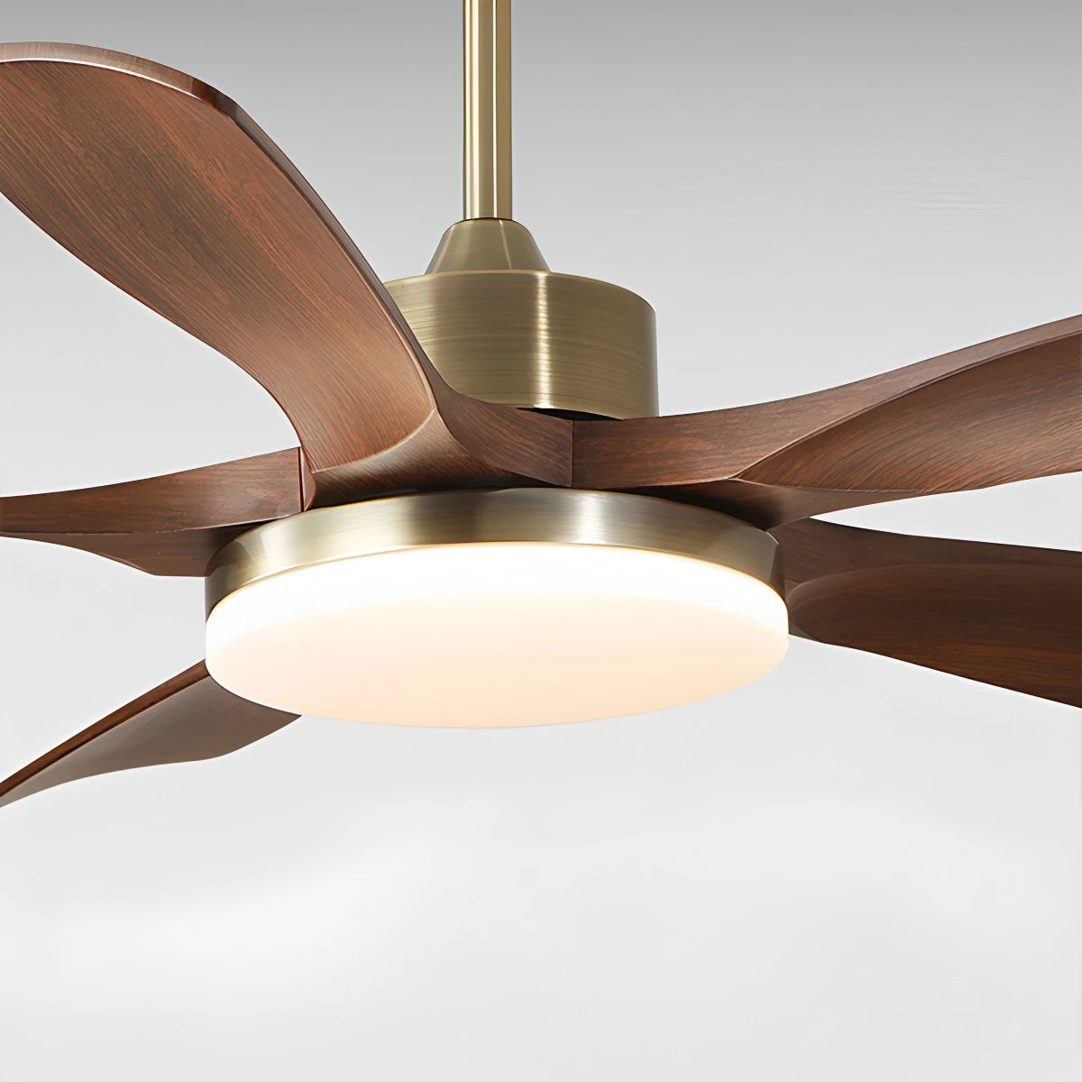 Antizer Modern 5-leaf Remote Control Ceiling Fan Light