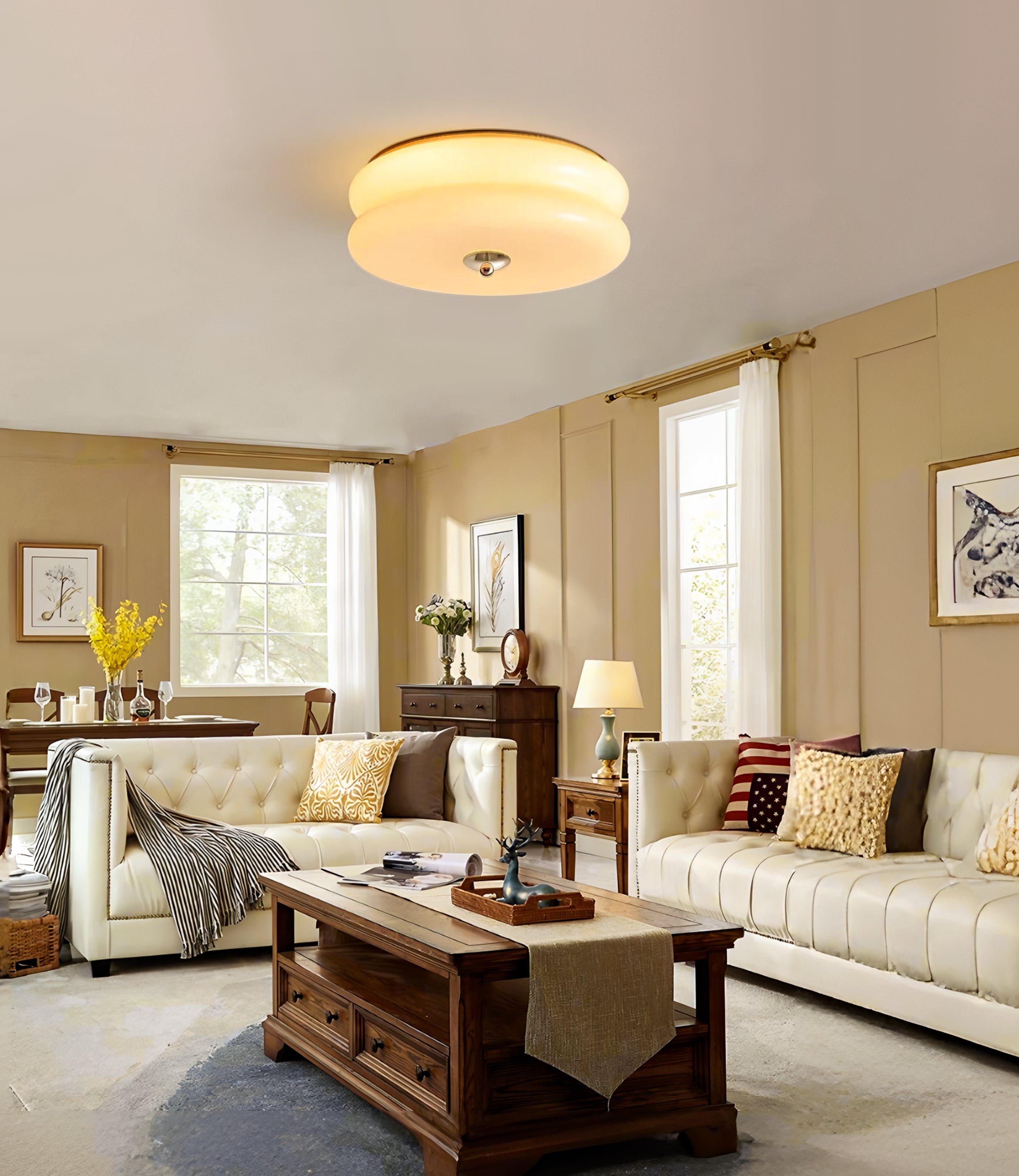 Flush Mount Ceiling Lights
