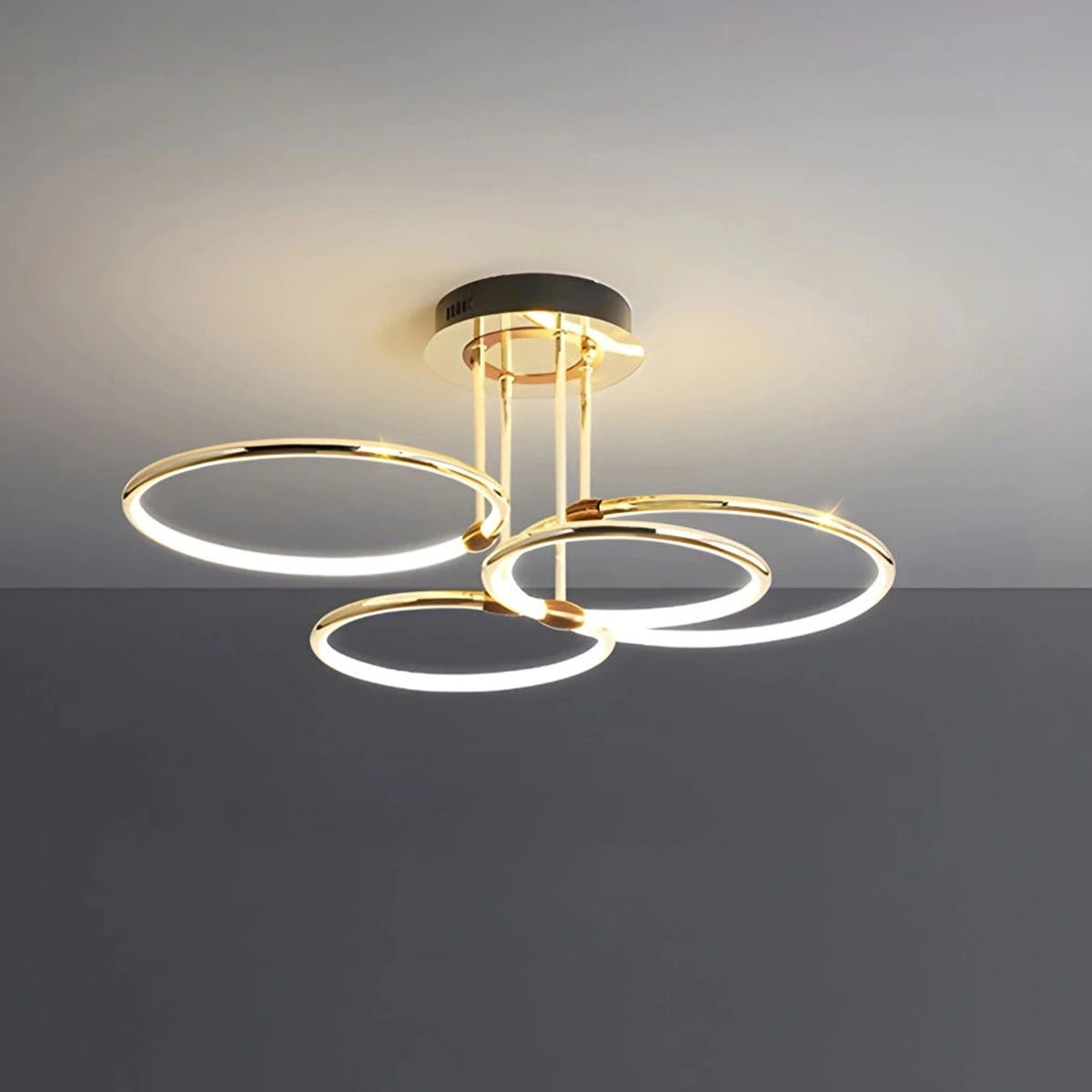 Antizer Metal Circular Chandelier Ceiling Lamp