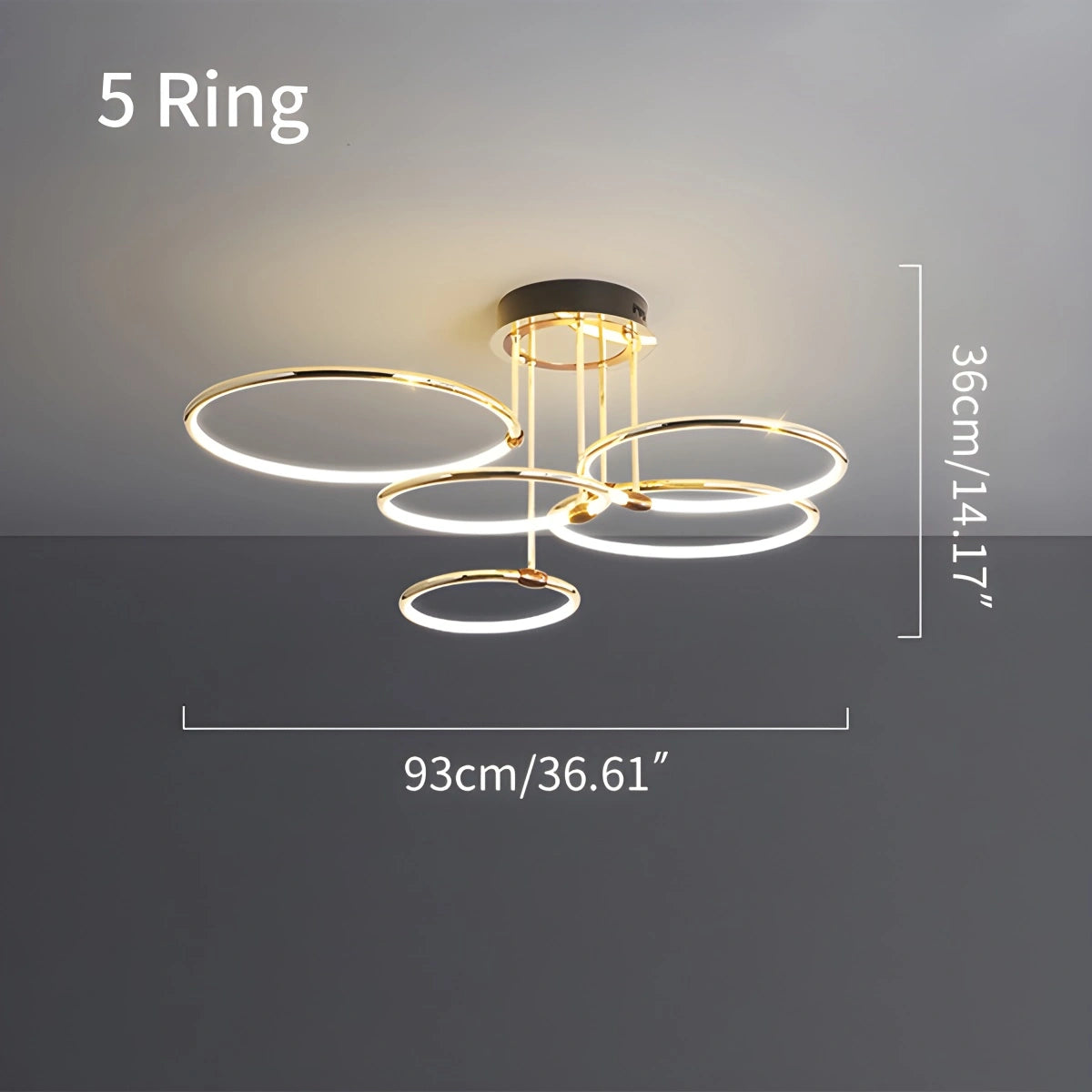 Antizer Metal Circular Chandelier Ceiling Lamp