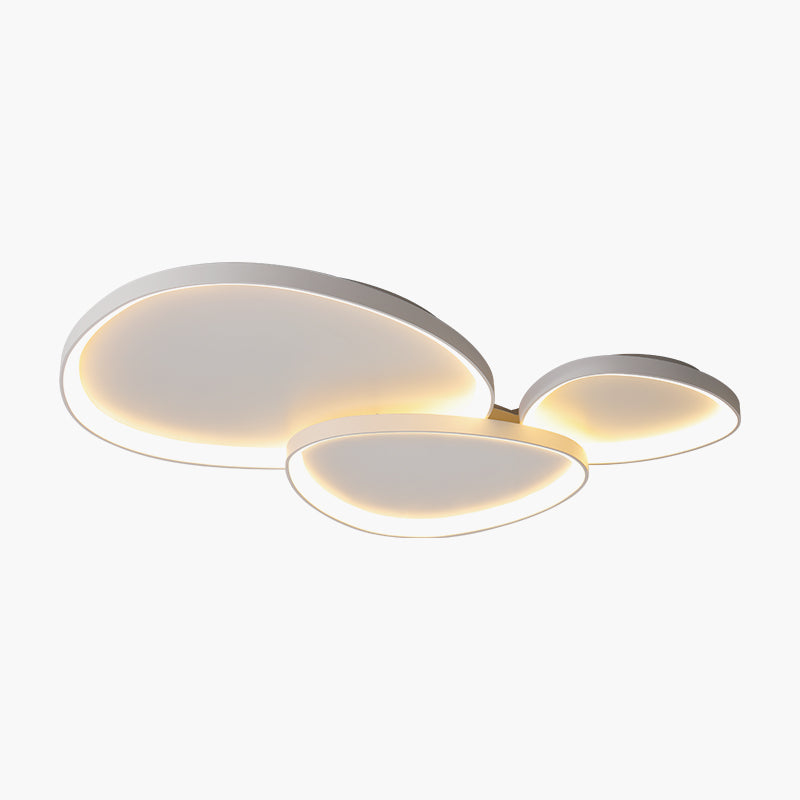 Nordic Art Ceiling Light