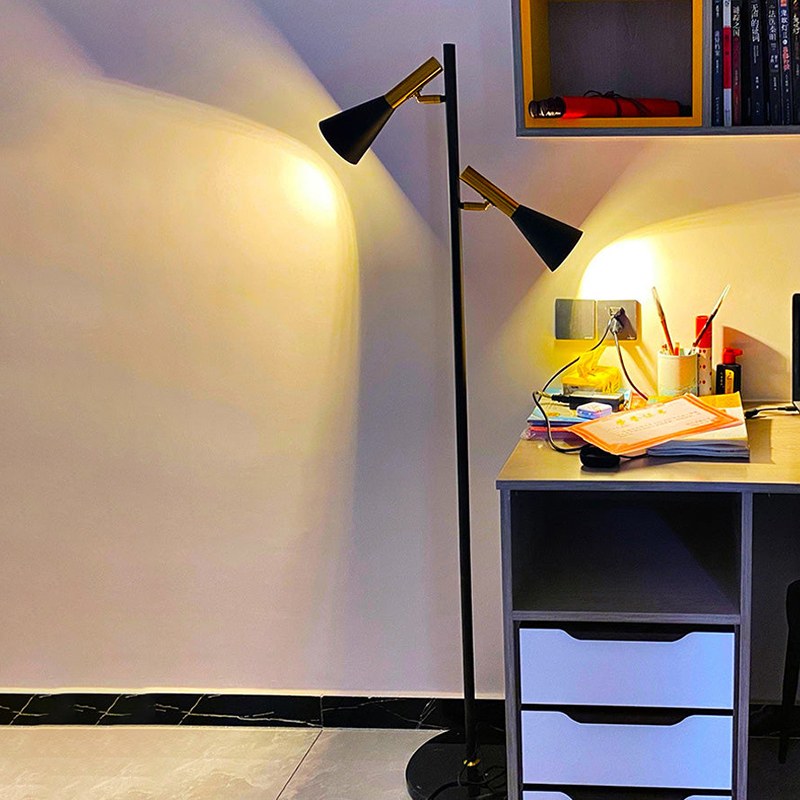 2-Bulb Adjustable Pole Floor Lamp