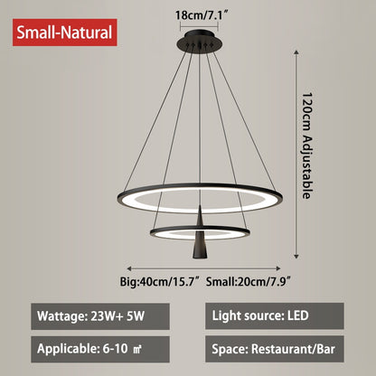 Acrylic Double Layer Pendant Light