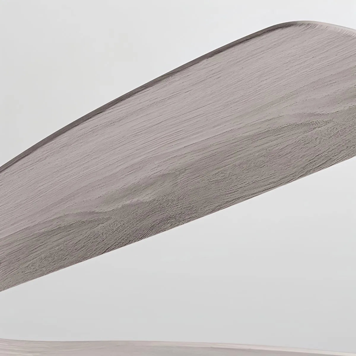 Antizer Living Room 6-Leaf Ceiling Fan Light