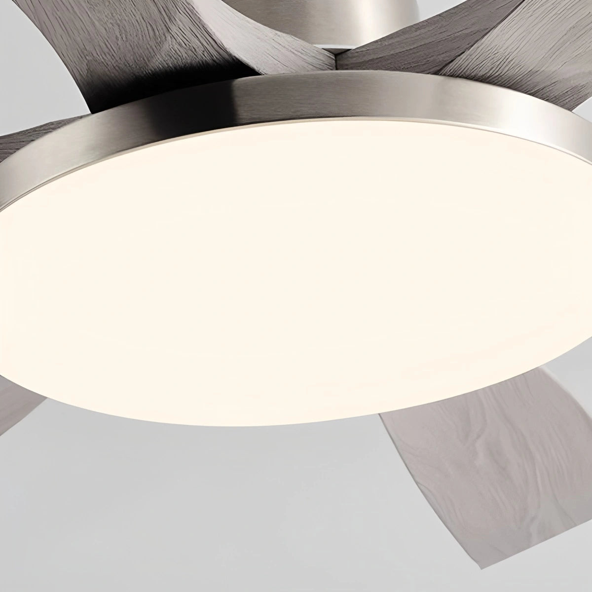 Antizer Living Room 6-Leaf Ceiling Fan Light