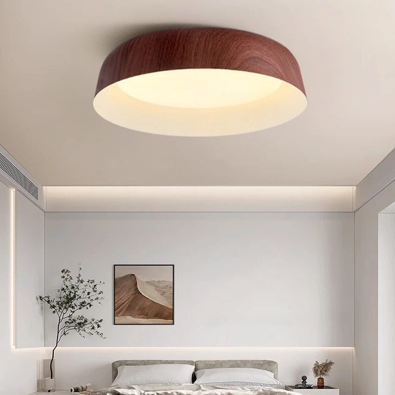 Nordic LED Alloy Ceiling Lights