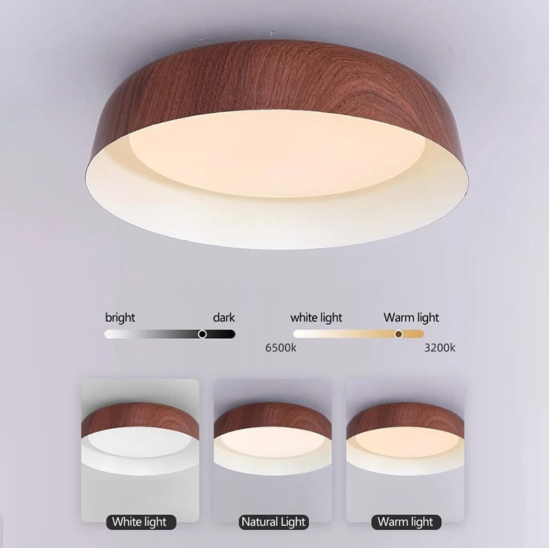 Nordic LED Alloy Ceiling Lights