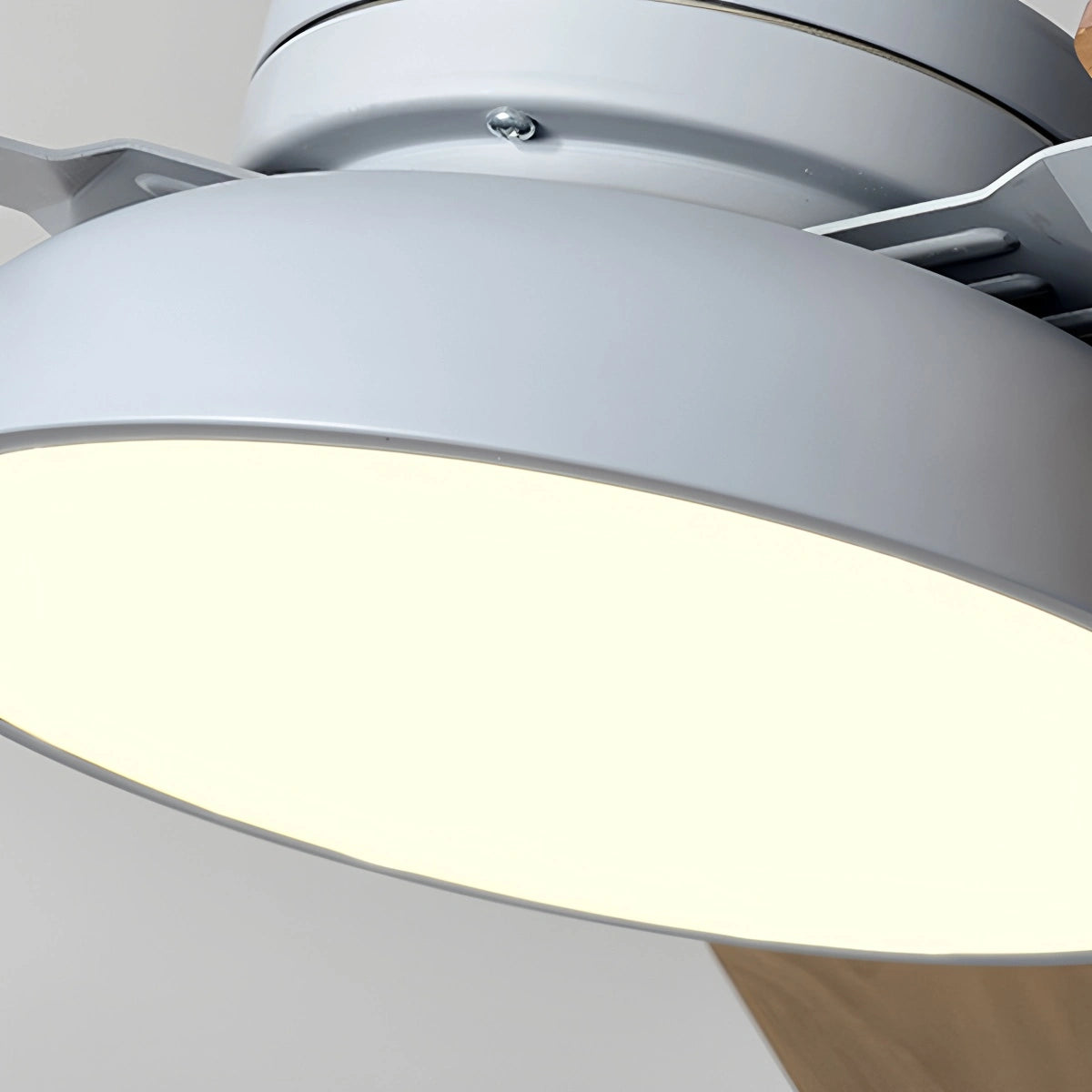 Antizer Modern Minimalist Three Leaf Ceiling Fan Light