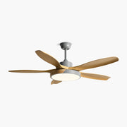 Antizer Nordic Living Room Ceiling Fan with Light