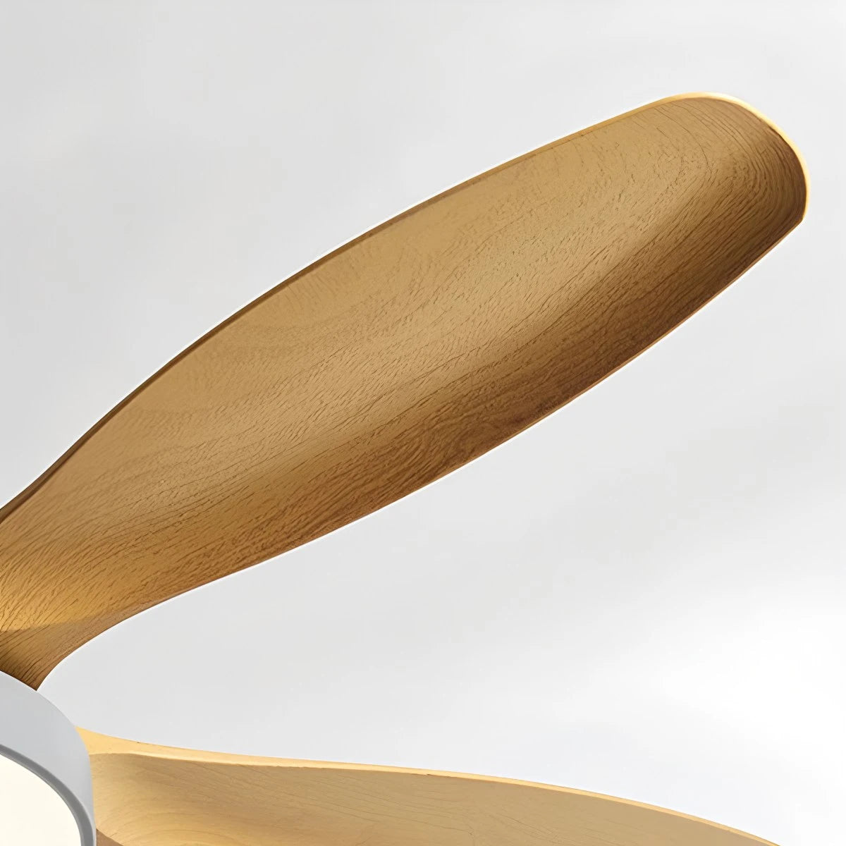 Antizer Nordic Living Room Ceiling Fan with Light