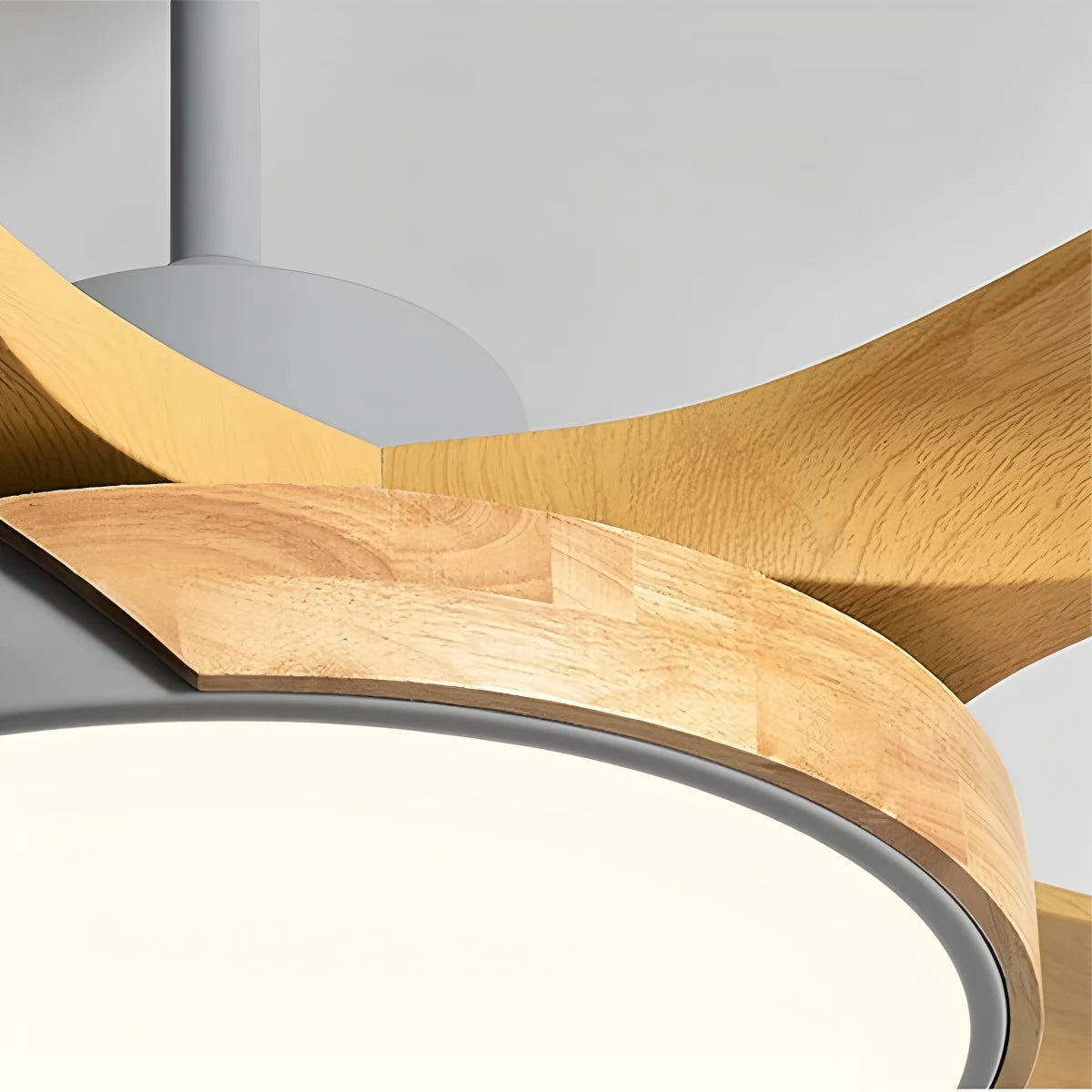 Antizer Nordic Living Room Ceiling Fan with Light