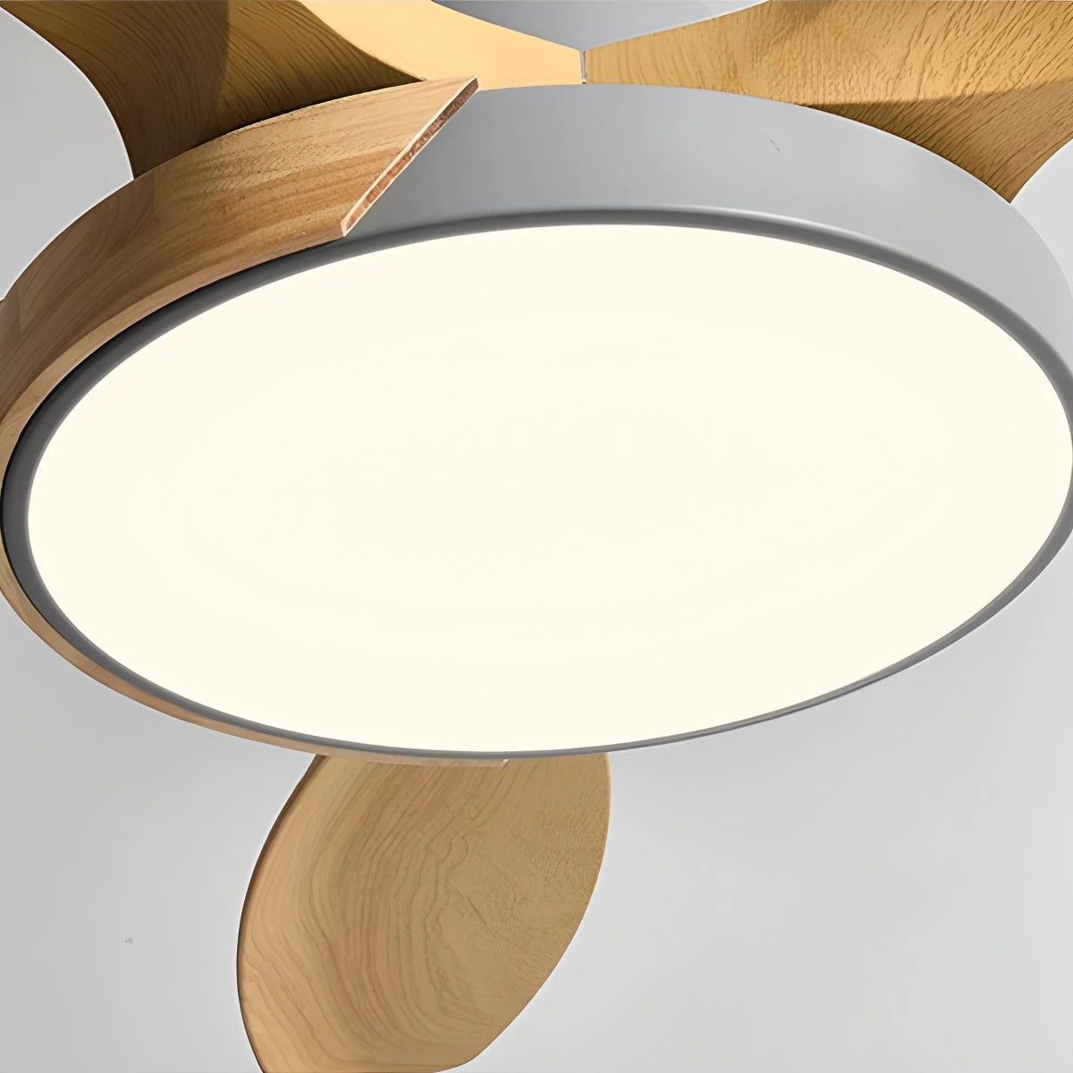 Antizer Nordic Living Room Ceiling Fan with Light