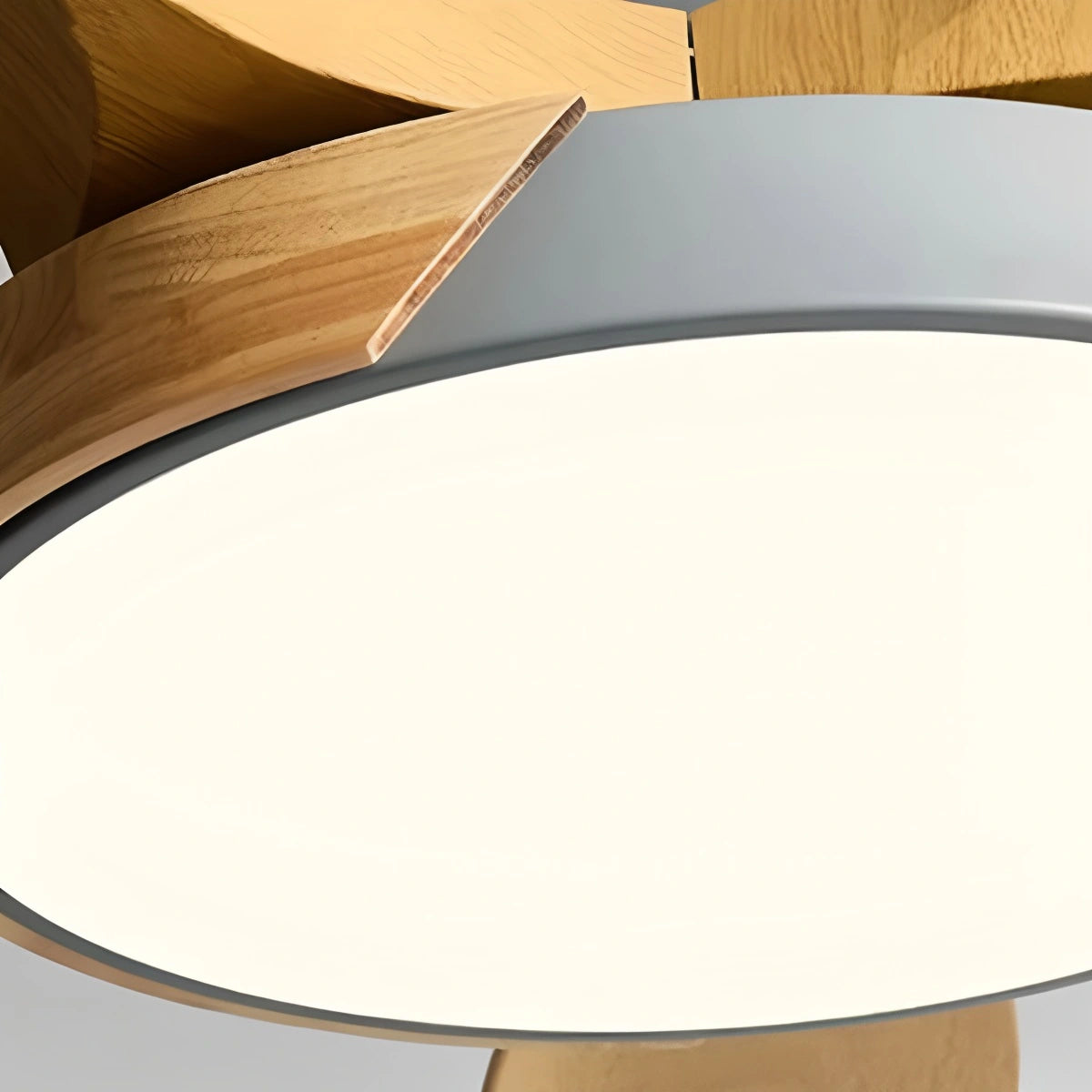 Antizer Nordic 5-Blade LED Ceiling Fan Light