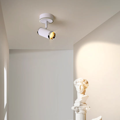 Antizer Striped Spotlight Track Ceiling Light & Sconces