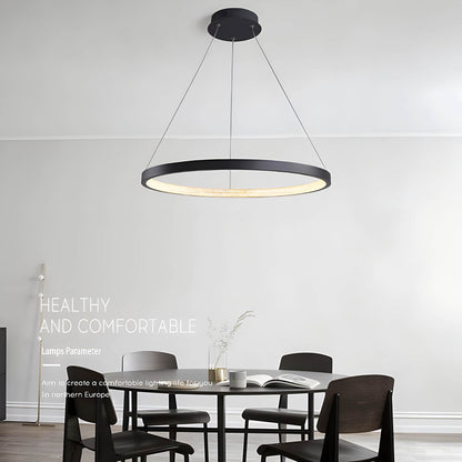 Antizer Nordic Simple Ring Ceiling Chandelier