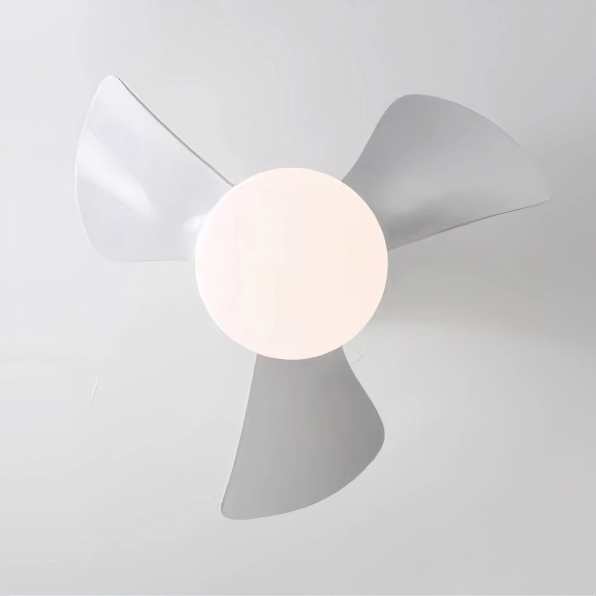 Antizer Small Propeller Ceiling Fan With Light