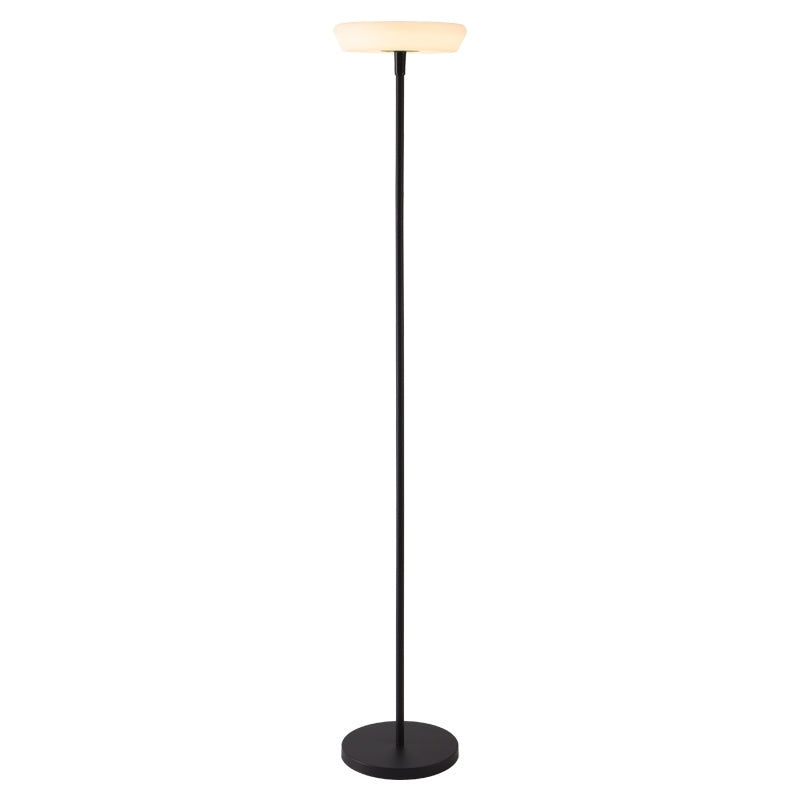 Outdoor Solar Floor Lamp