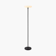 Antizer Outdoor Solar LED Floor Lamp for Garden