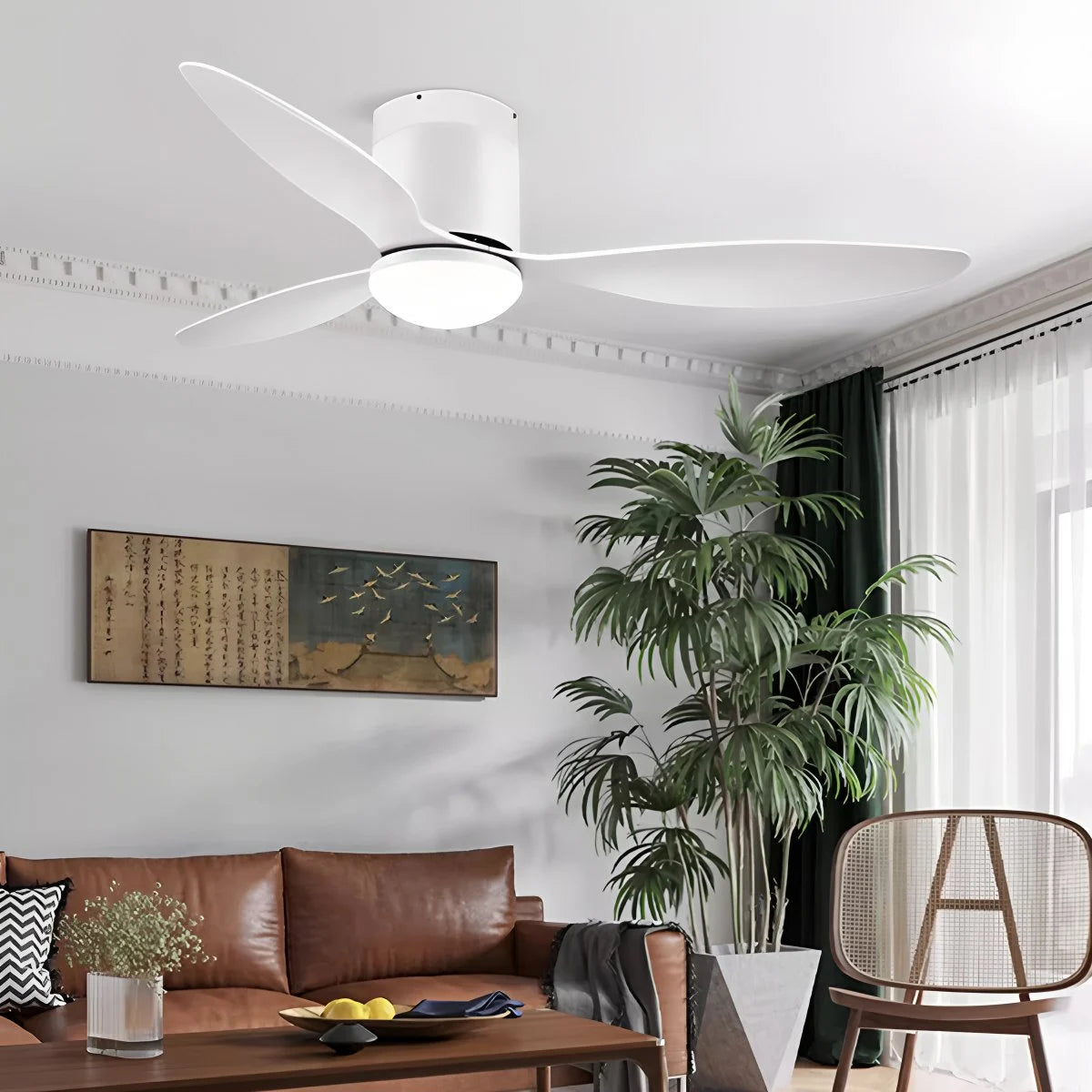 Antizer 3 Blade Modern Ceiling Fan with Light
