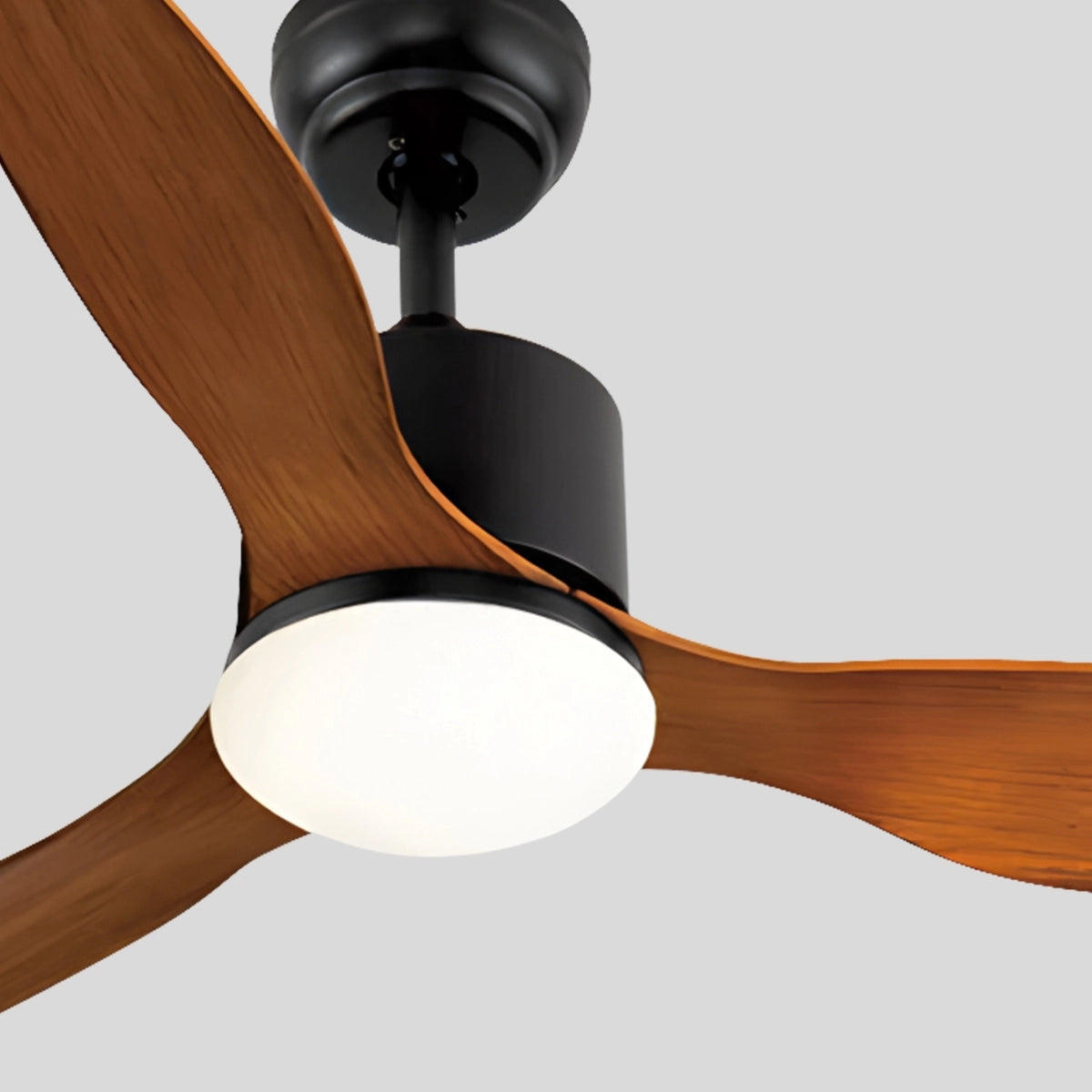 Antizer 3 Blade Modern Ceiling Fan with Light