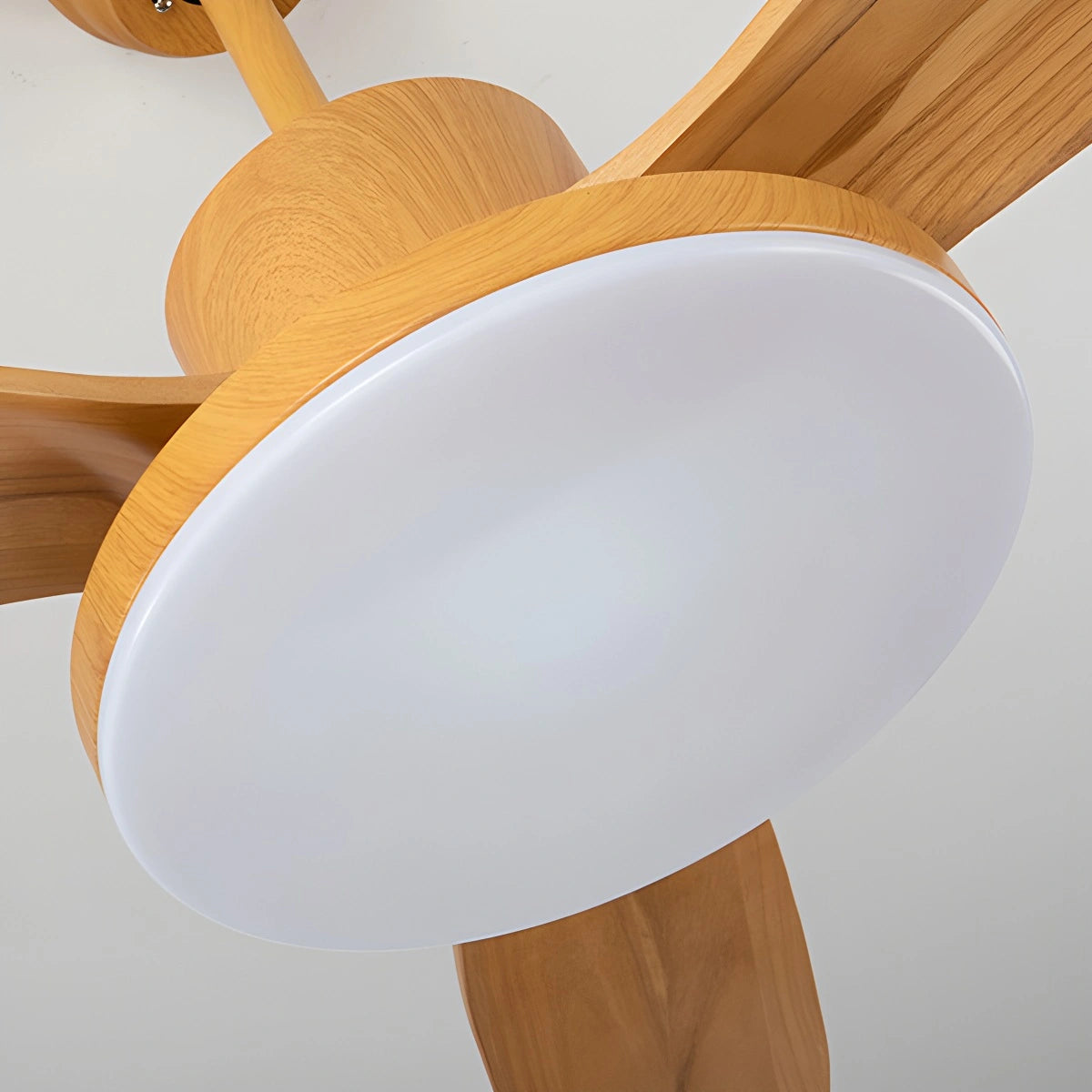 Antizer 3 Wood Blade Ceiling Fan with Light