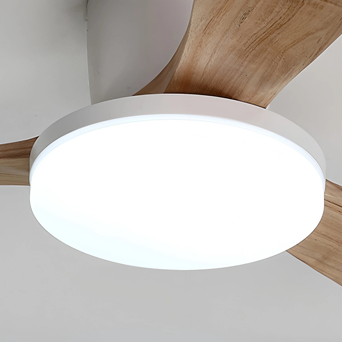 Antizer 3 Wood Blade Low Profile Ceiling Fan Lamp