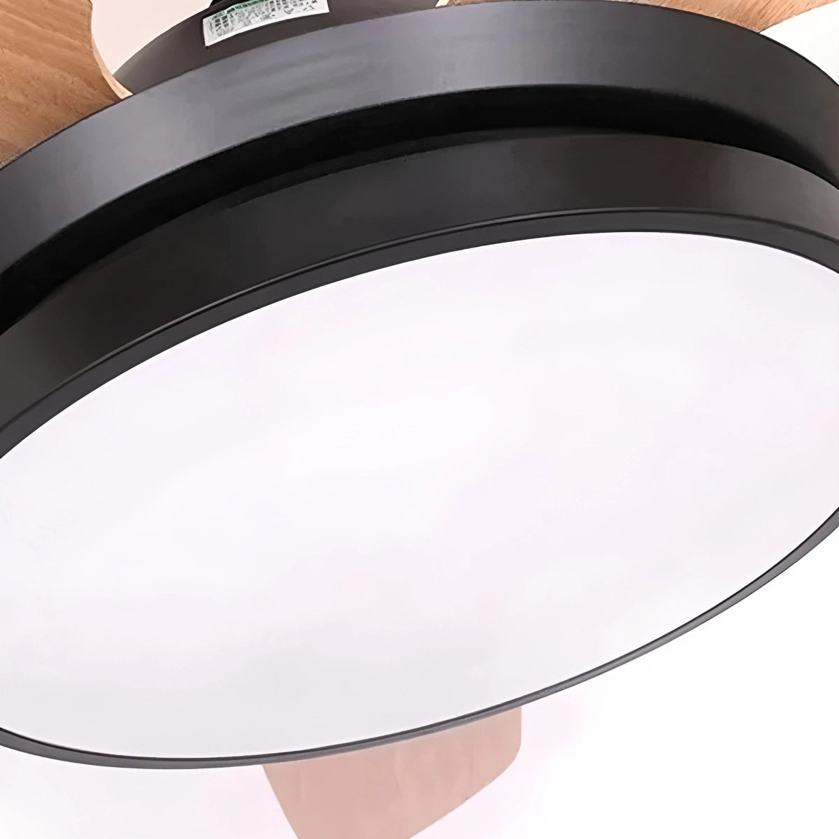 Antizer 5 Blade Ceiling Fan Light for Living Room
