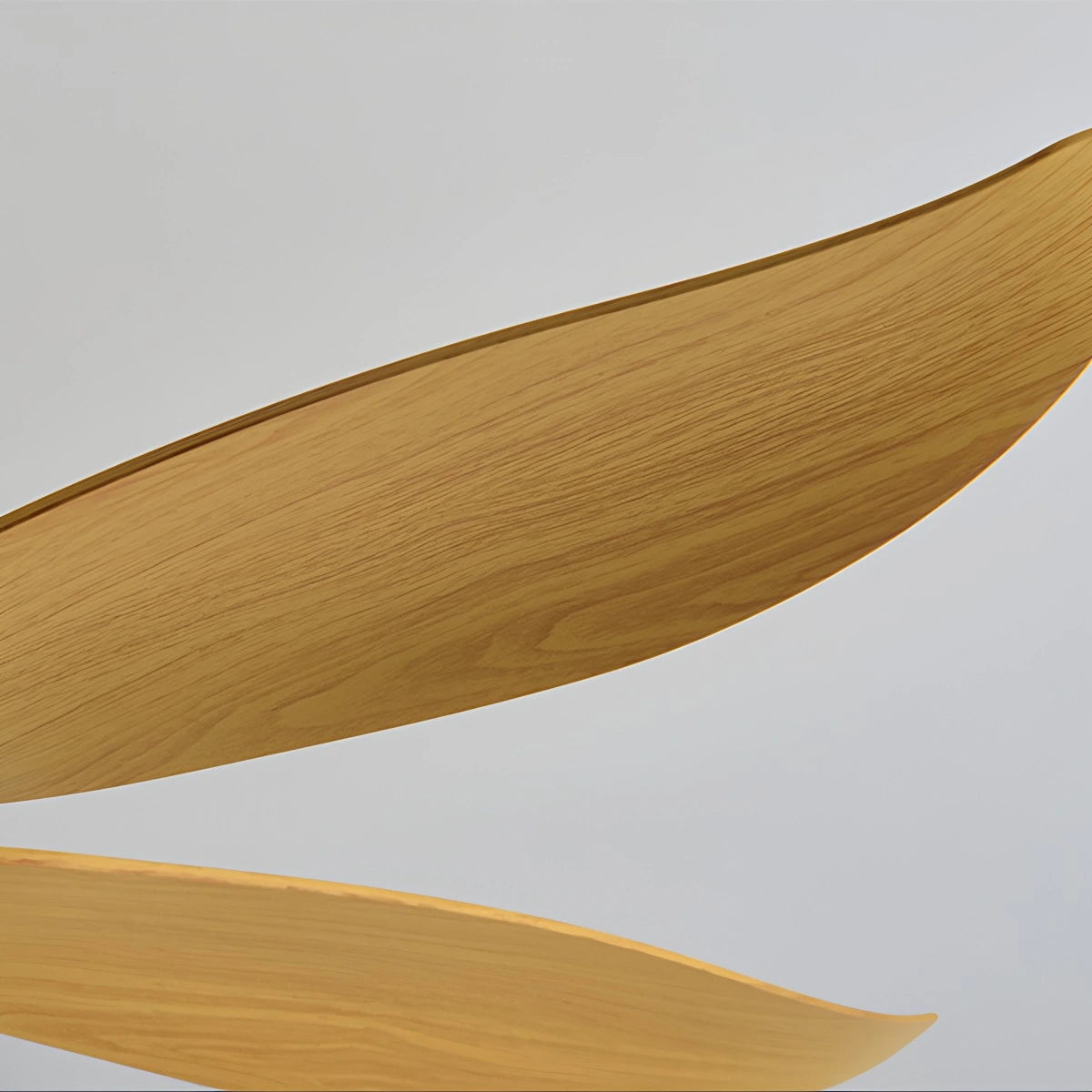 Antizer 5 Blade Contemporary Ceiling Fan Lamp