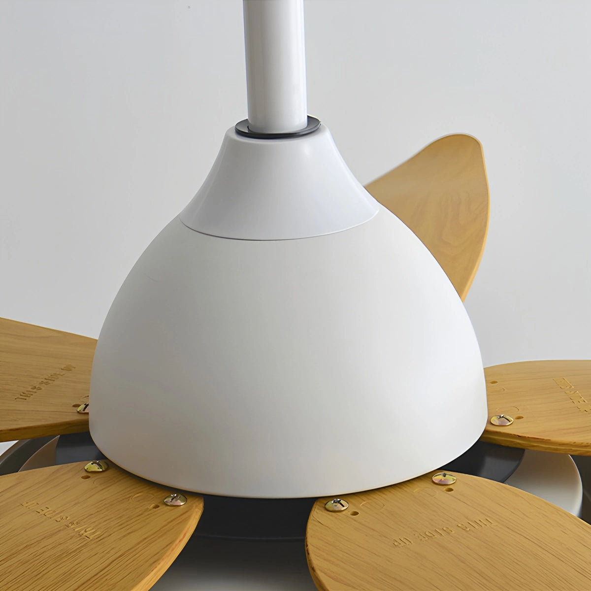 Antizer 5 Blade Contemporary Ceiling Fan Lamp