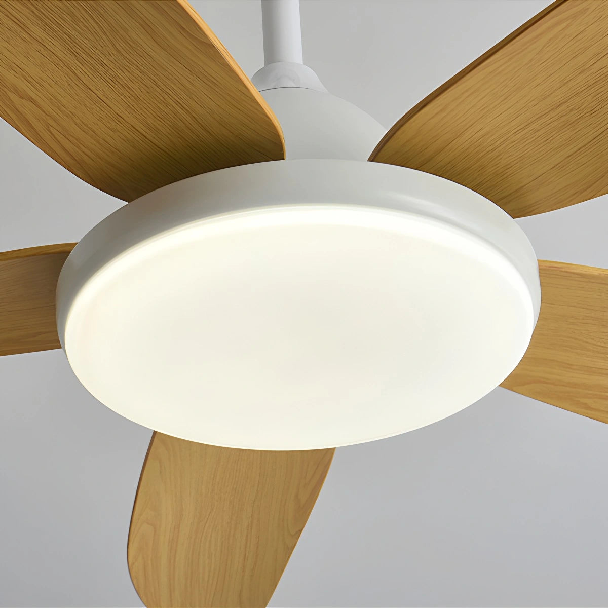 Antizer 5 Blade Contemporary Ceiling Fan Lamp