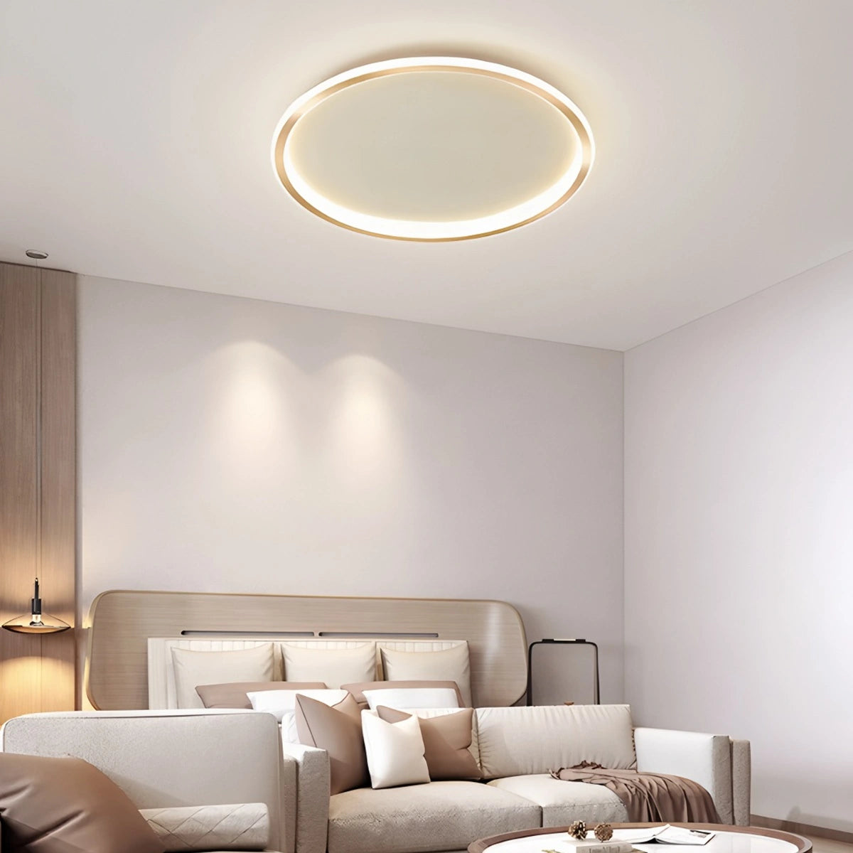 Antizer Nordic Circular Simple LED Ceiling Light