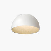 Antizer Duo Plane/Slanted Ceiling Lamp