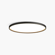 Antizer Flat Round Flush Mount Ceiling Light for Bedroom