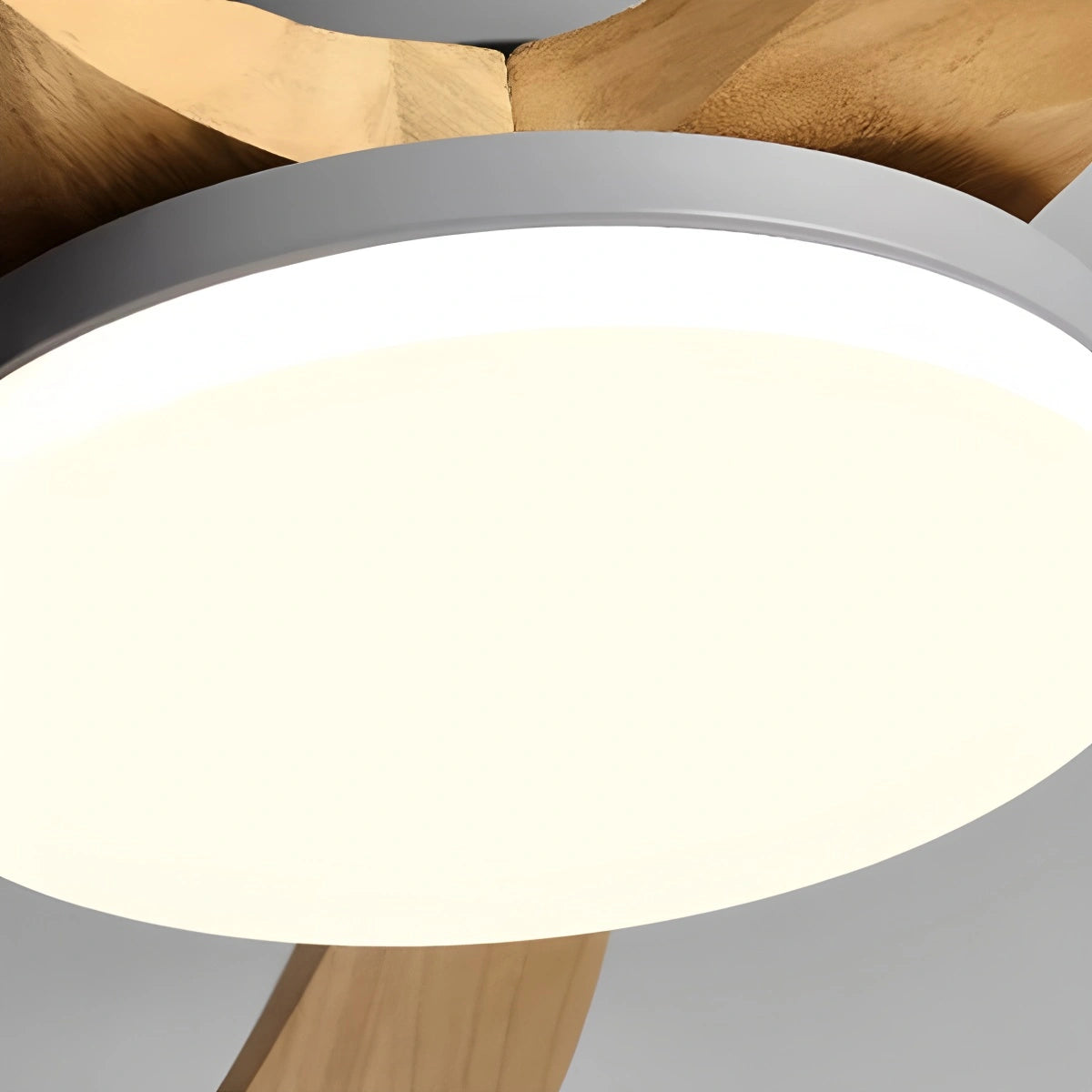 Antizer High Wind Solid Wood Ceiling Fan Light