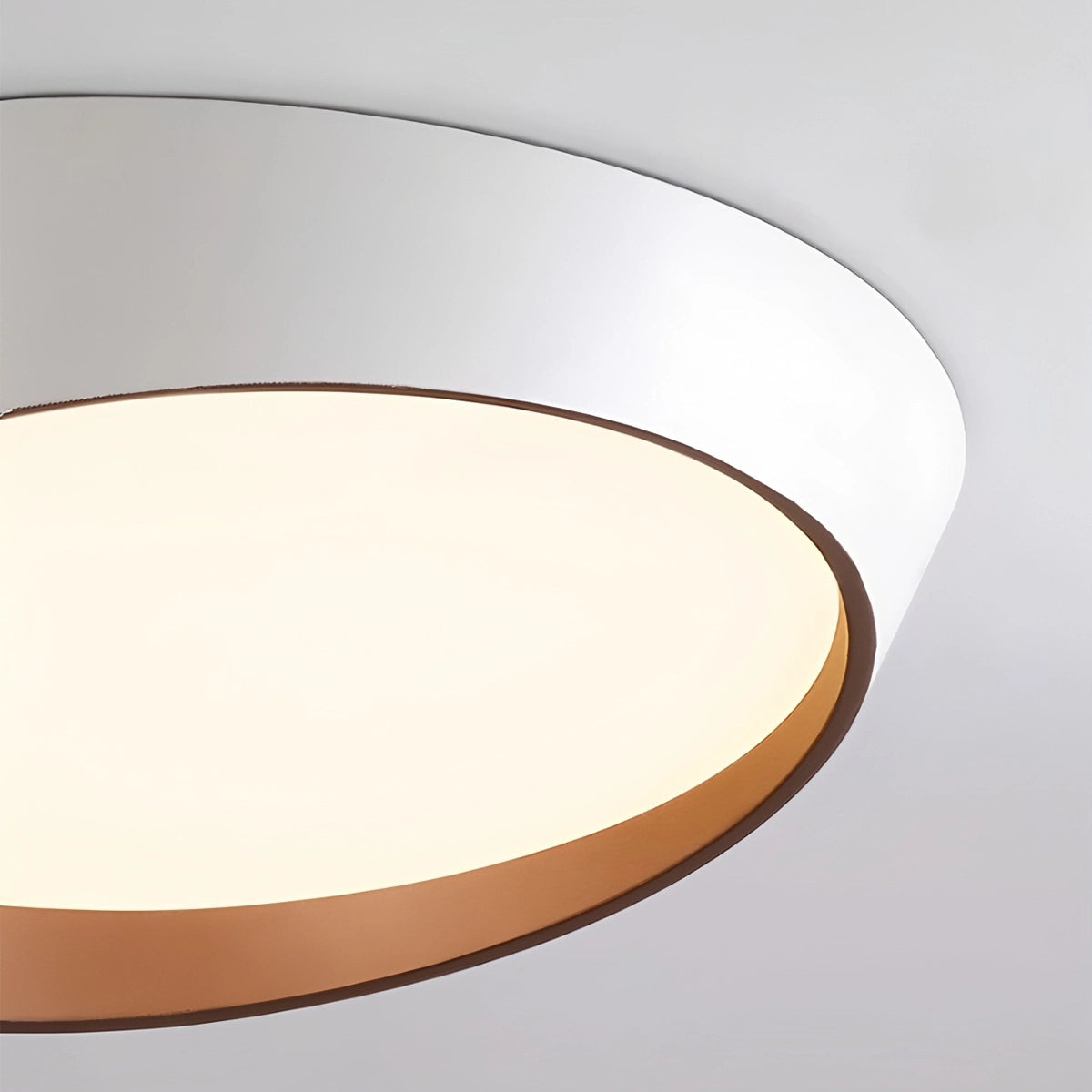 Antizer Modern Round Acrylic Ceiling Light for Bedroom