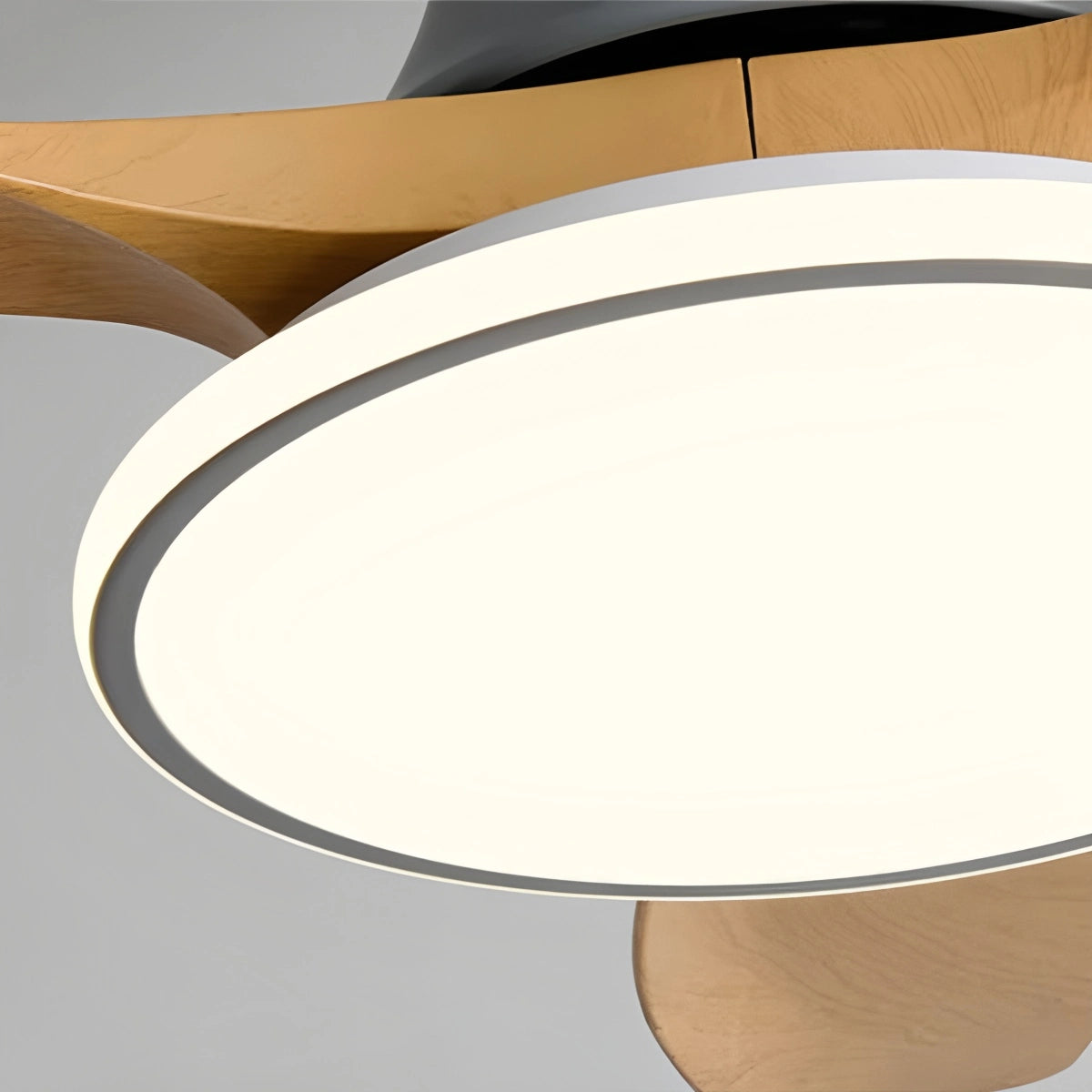 Antizer Modern 3 Blade Ceiling Fan with Light