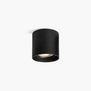 Antizer Modupoint Ceiling Spotlight Surface Mounted