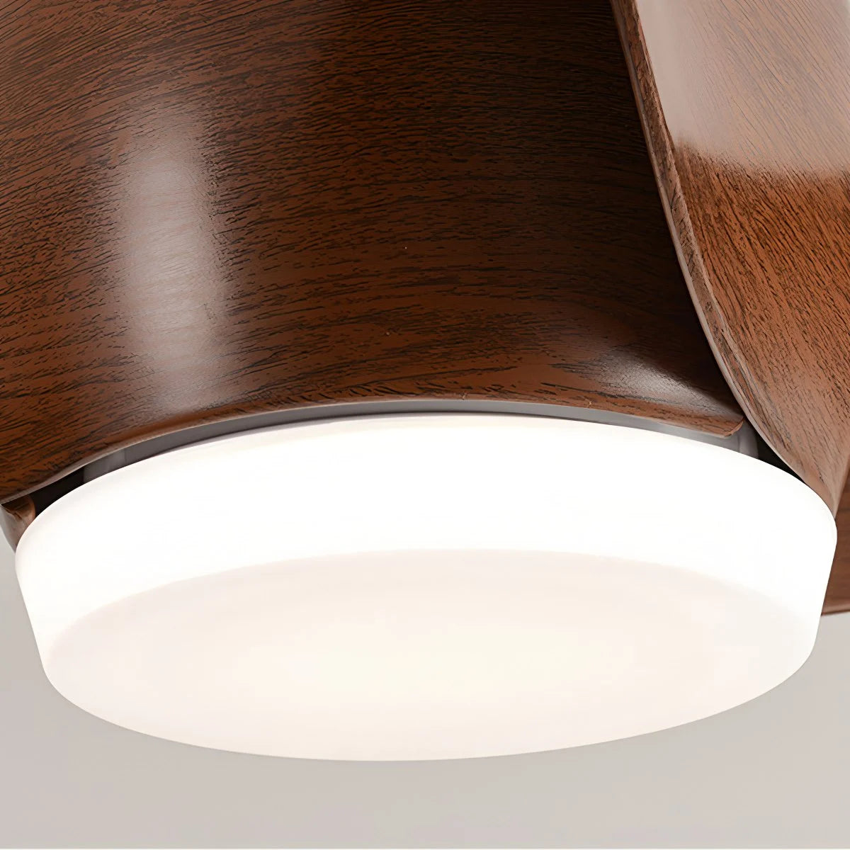 Antizer Propeller Ceiling Fan Lamp for Dining Room