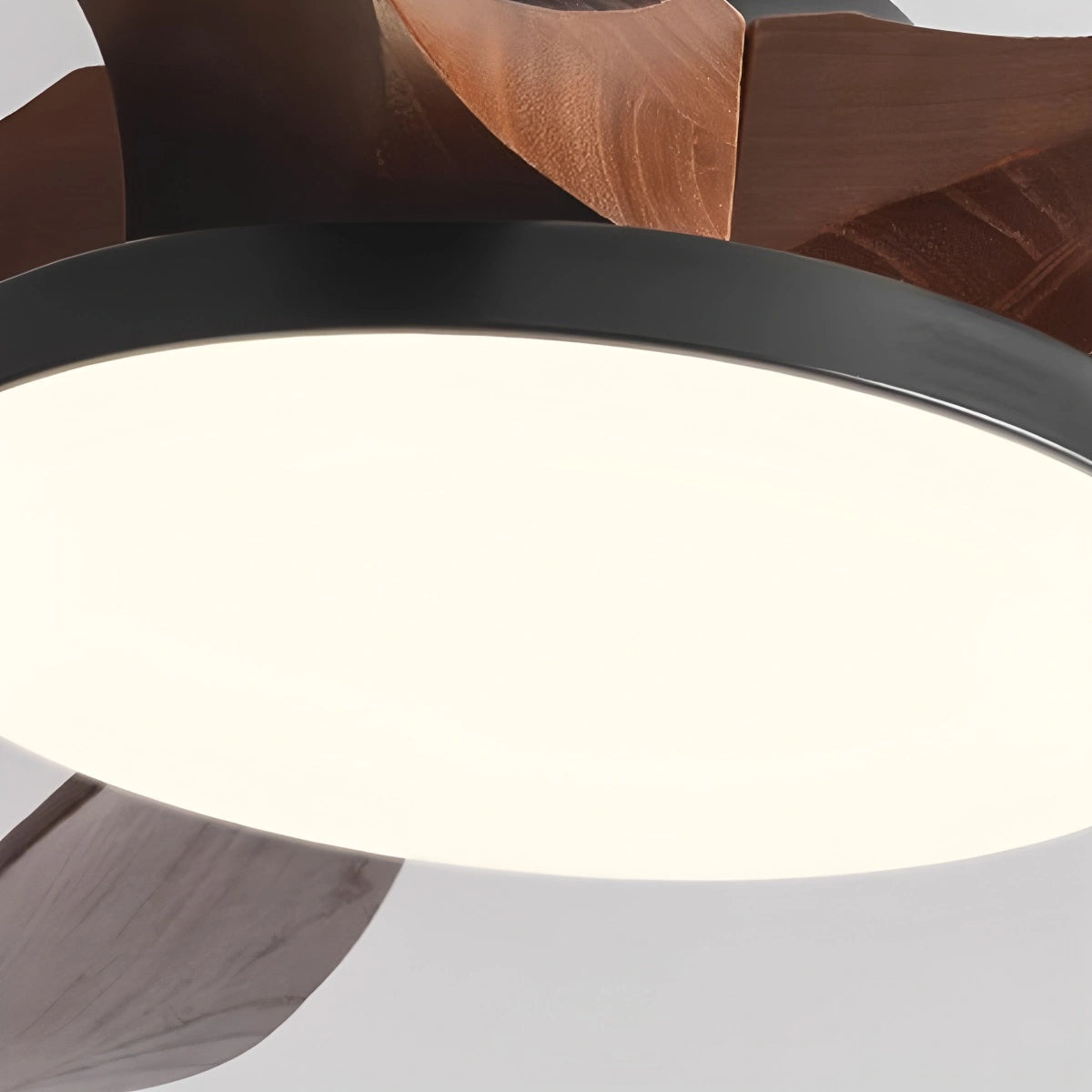 Antizer 5-leaf Solid Wood Ceiling Fan Light