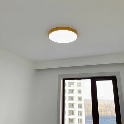 Antizer LED Minimalist Circular Macaron Ceiling Light