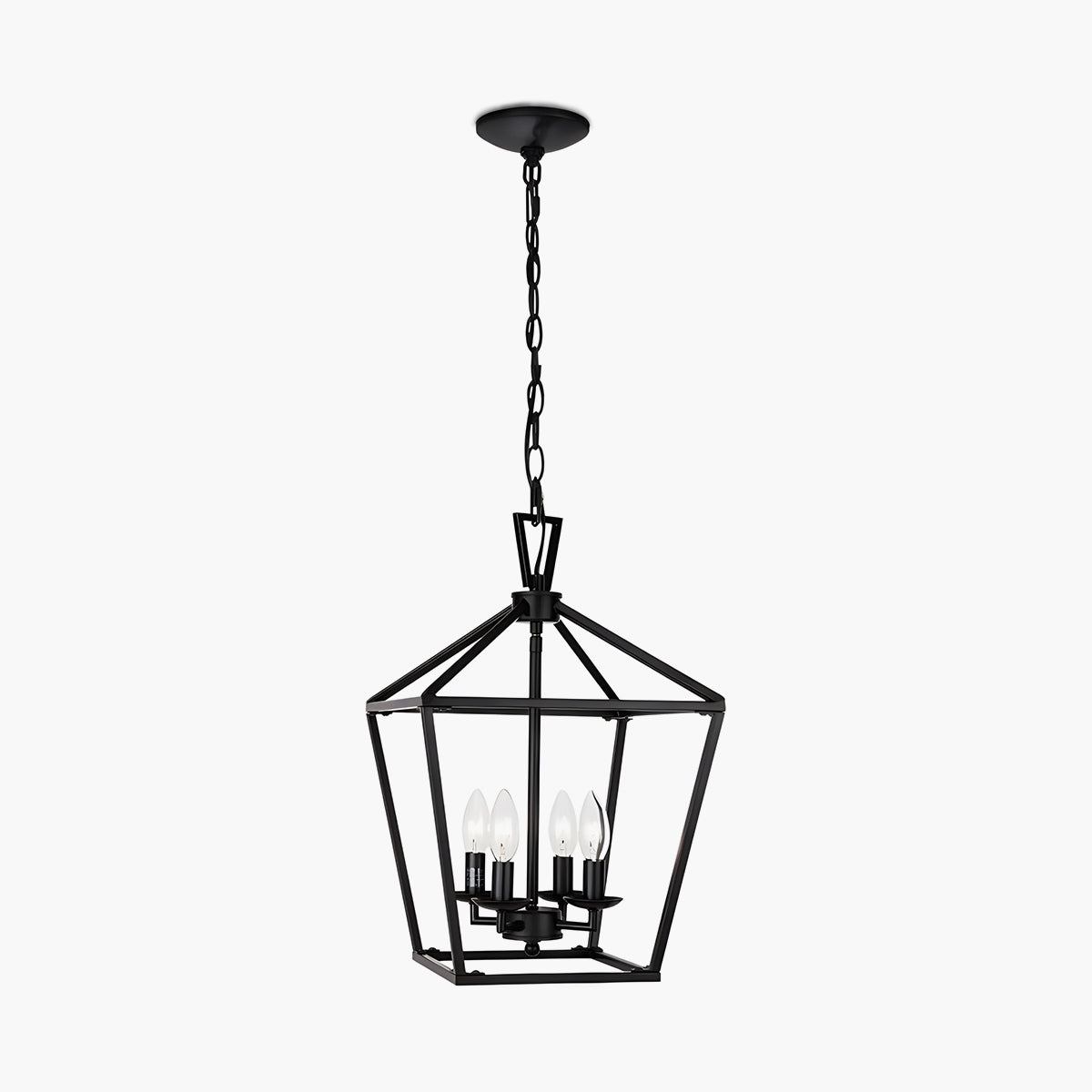 Bird Cage Iron Pendant Lamp