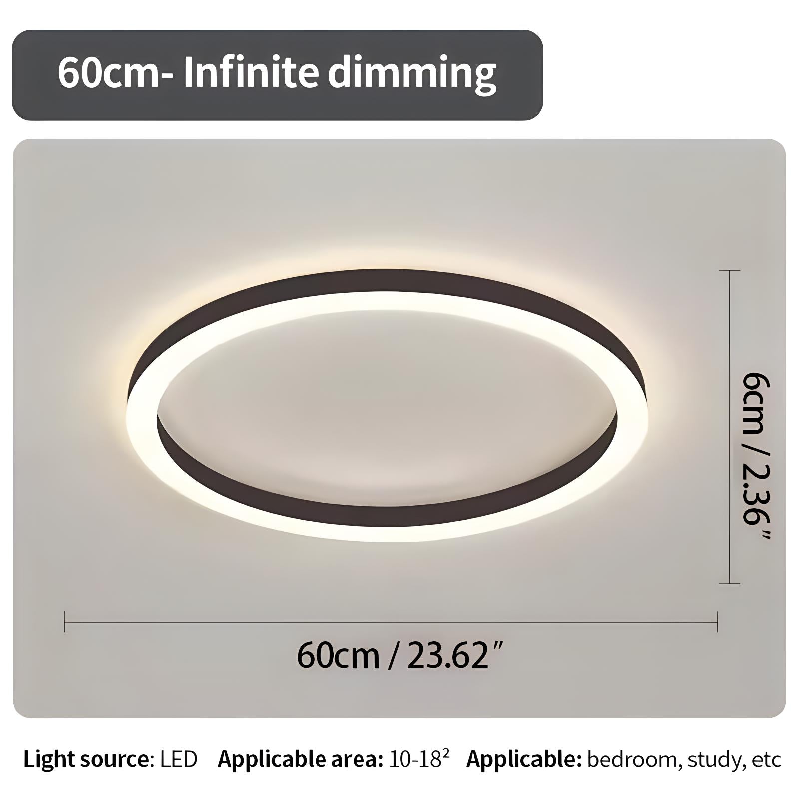 Nordic Circular Ceiling Lamp