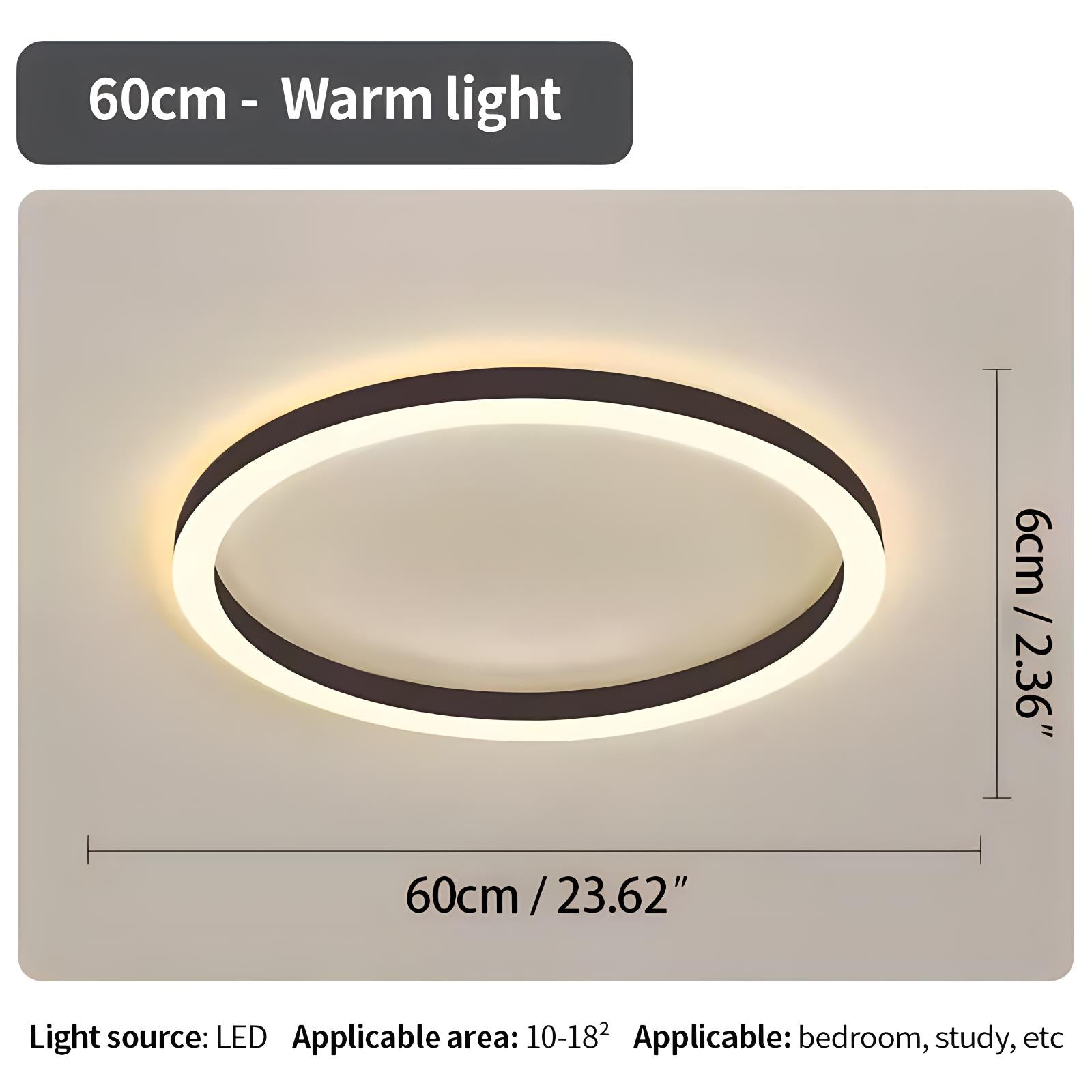 Nordic Circular Ceiling Lamp