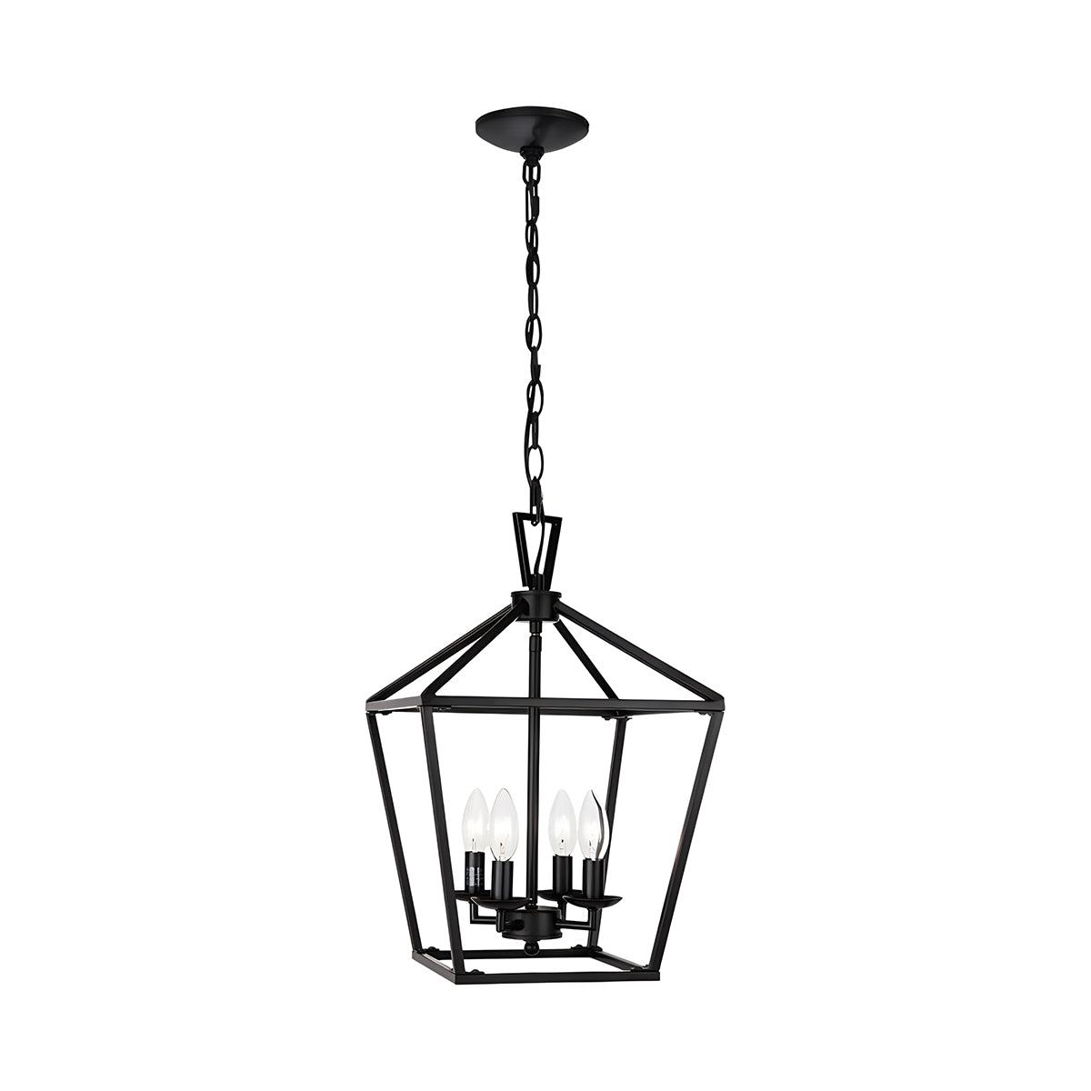 Bird Cage Iron Pendant Lamp