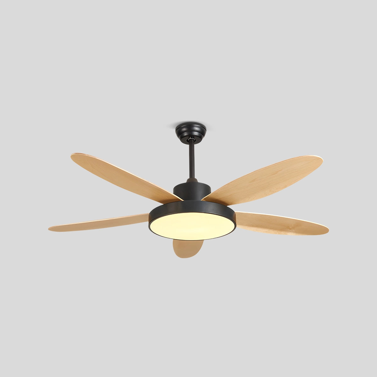 Antizer 5 Blade Modern Ceiling Fan Lamp for Living Room