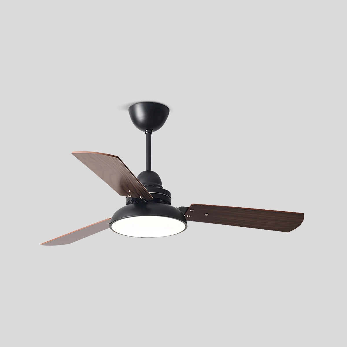 Antizer Modern Minimalist Three Leaf Ceiling Fan Light