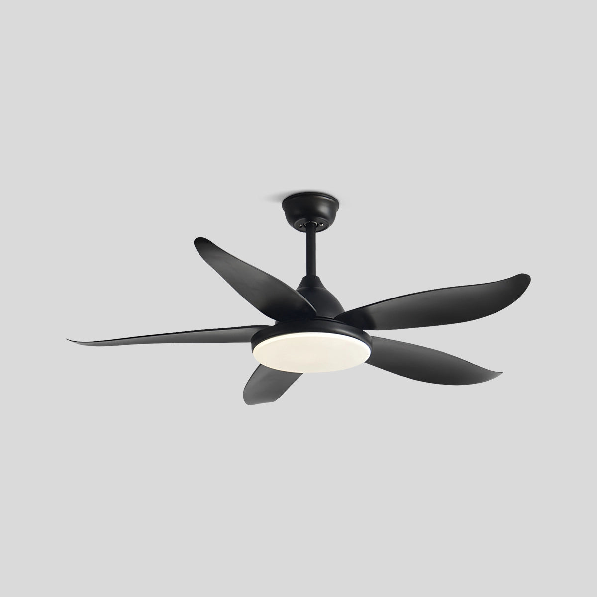 Antizer 5 Blade Contemporary Ceiling Fan Lamp
