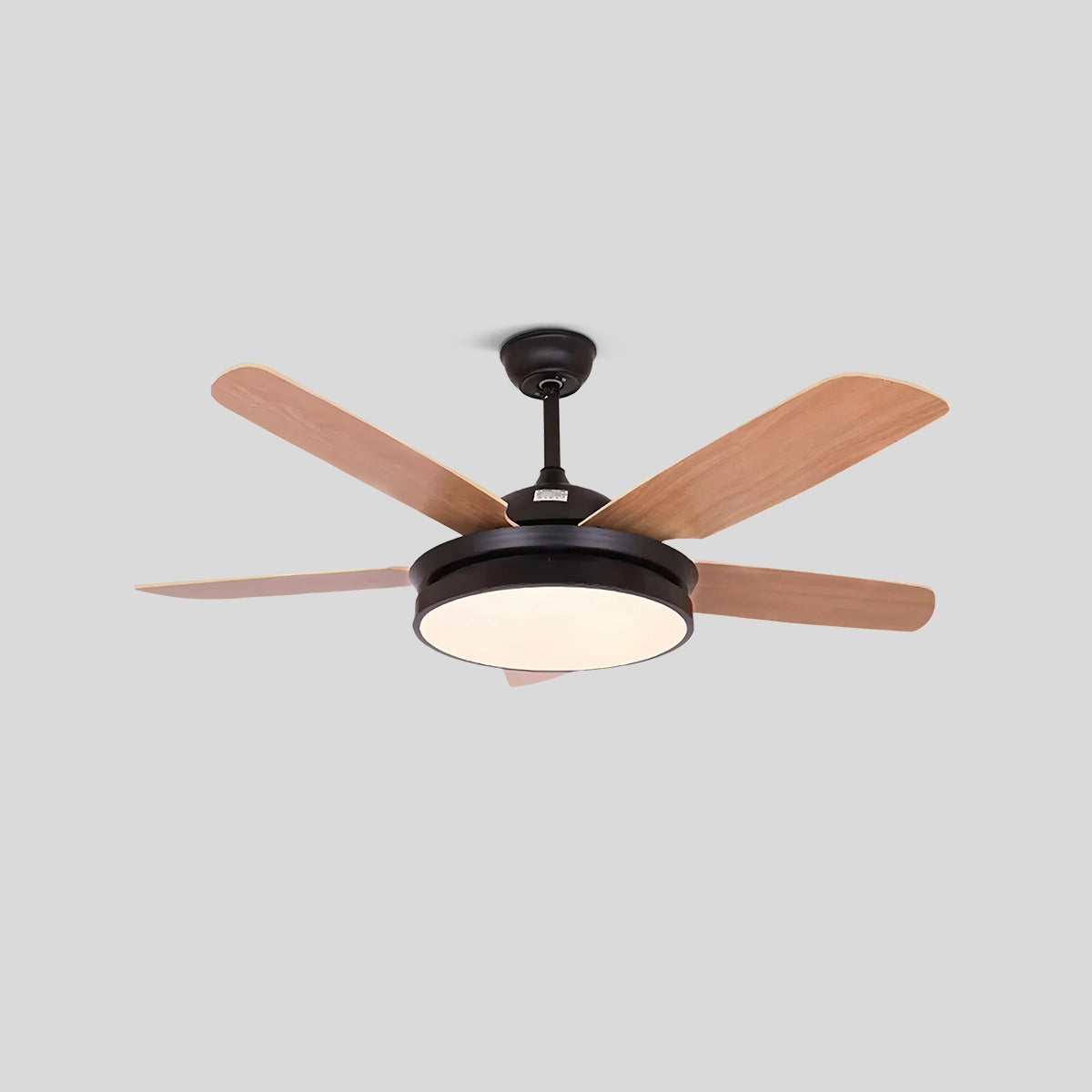 Antizer 5 Blade Ceiling Fan Light for Living Room