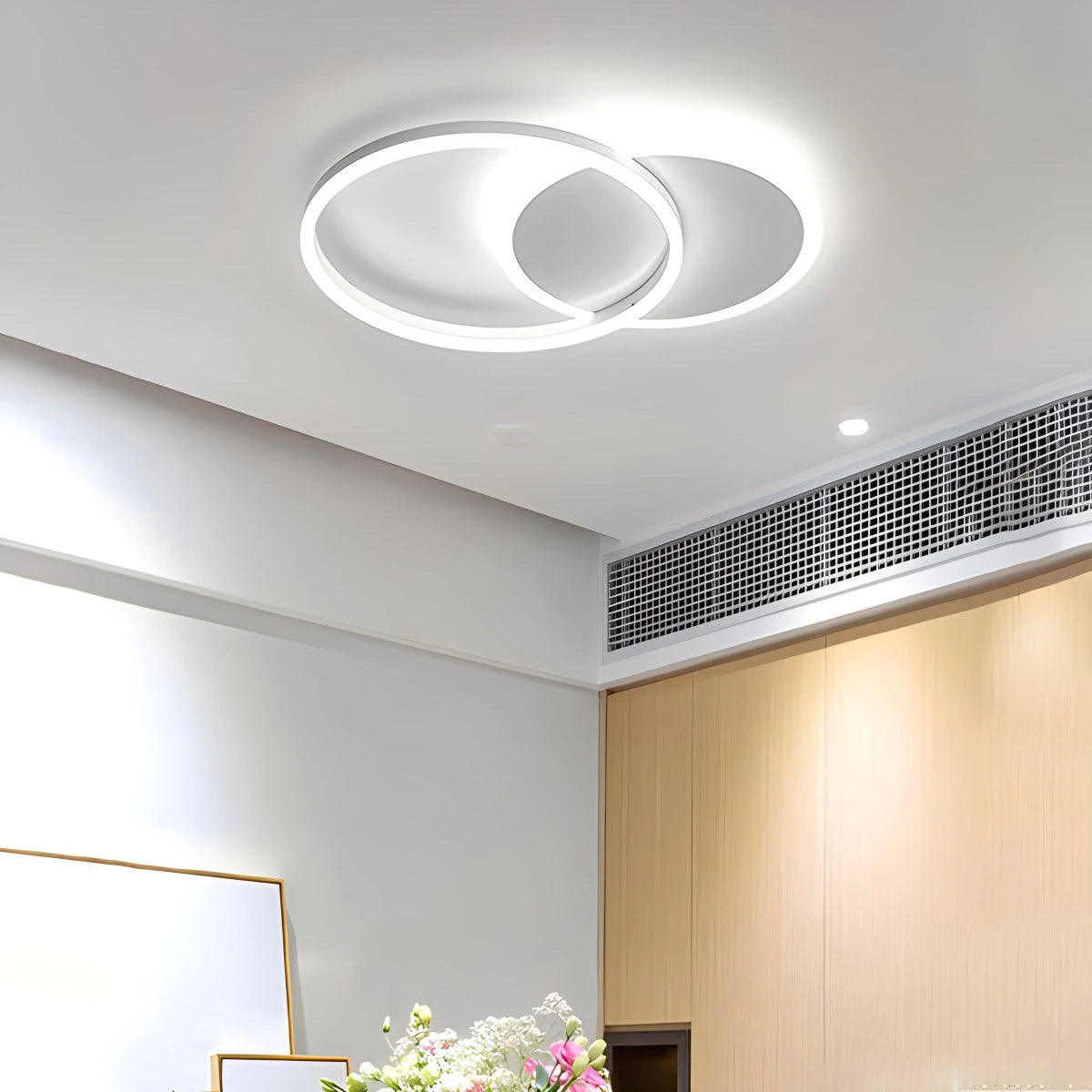 Circular LED Ceiling Light