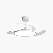 Antizer Silent Remote Control White Ceiling Fan Light